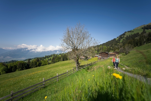 Narzissenwanderung