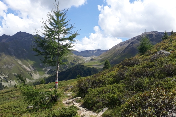 Panoramablick auf einen «Prominent Peak»