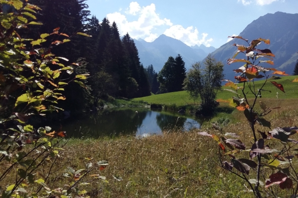 Alpsee - eine prättigauer Perle