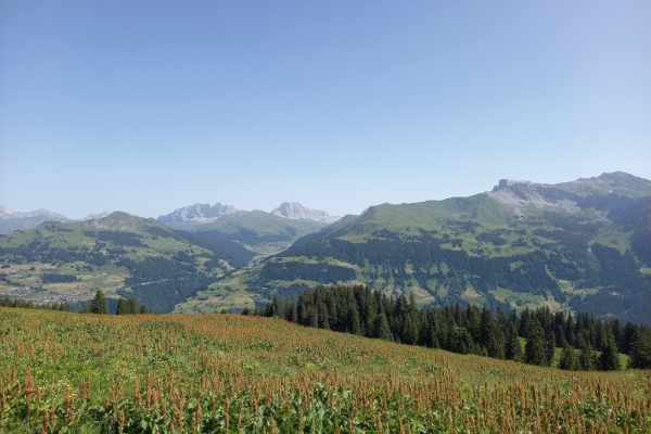 Höhenweg einmal anders