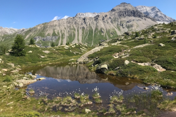 Die Königsetappe der Via Albula-Bernina