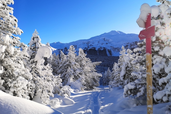 Gelegenheit für Schneeschuh-Schnupperer