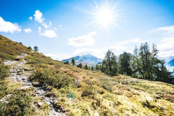 Über die Räzünscher Alpen zu den Surettaseen