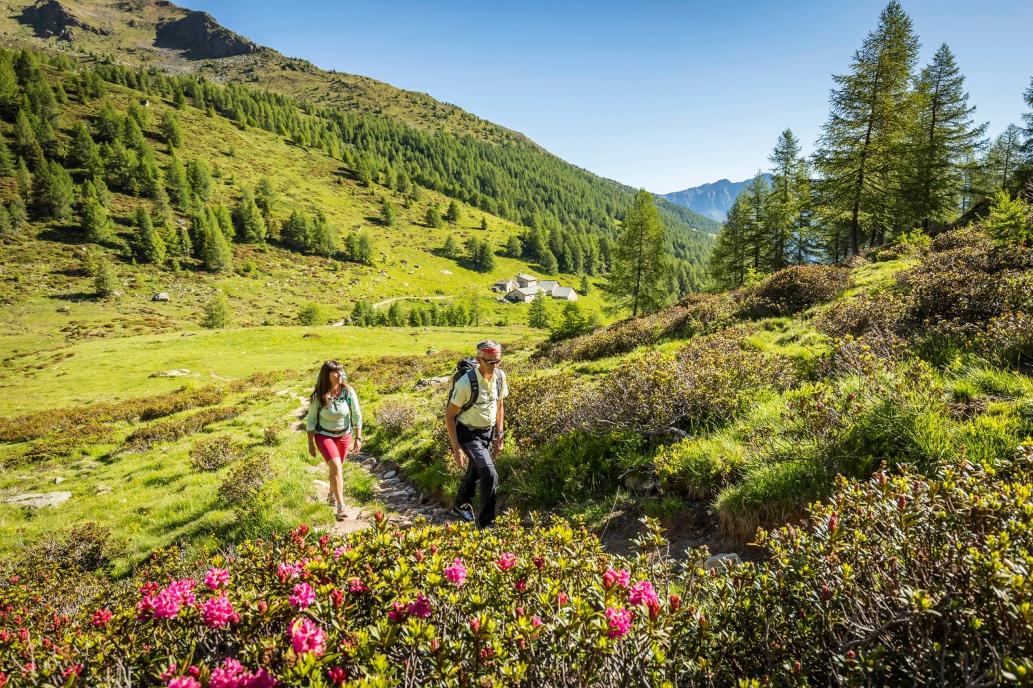 Valposchiavo Turismo