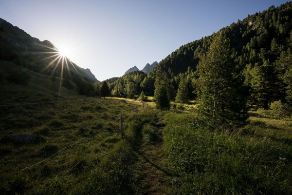 Wandertrophy: Lai Grond – l’etappa roiala dal Parc Ela