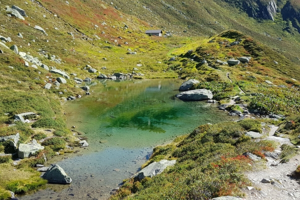 Wandertrophy: Las istorgias da la crappa sur Mustér