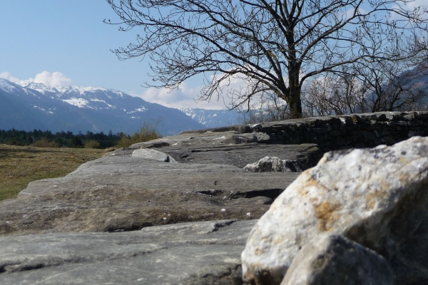 Wandertrophy: Auf dem Weinwanderweg unterwegs durchs Rheintal